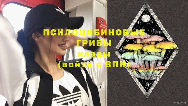 гашик Балабаново